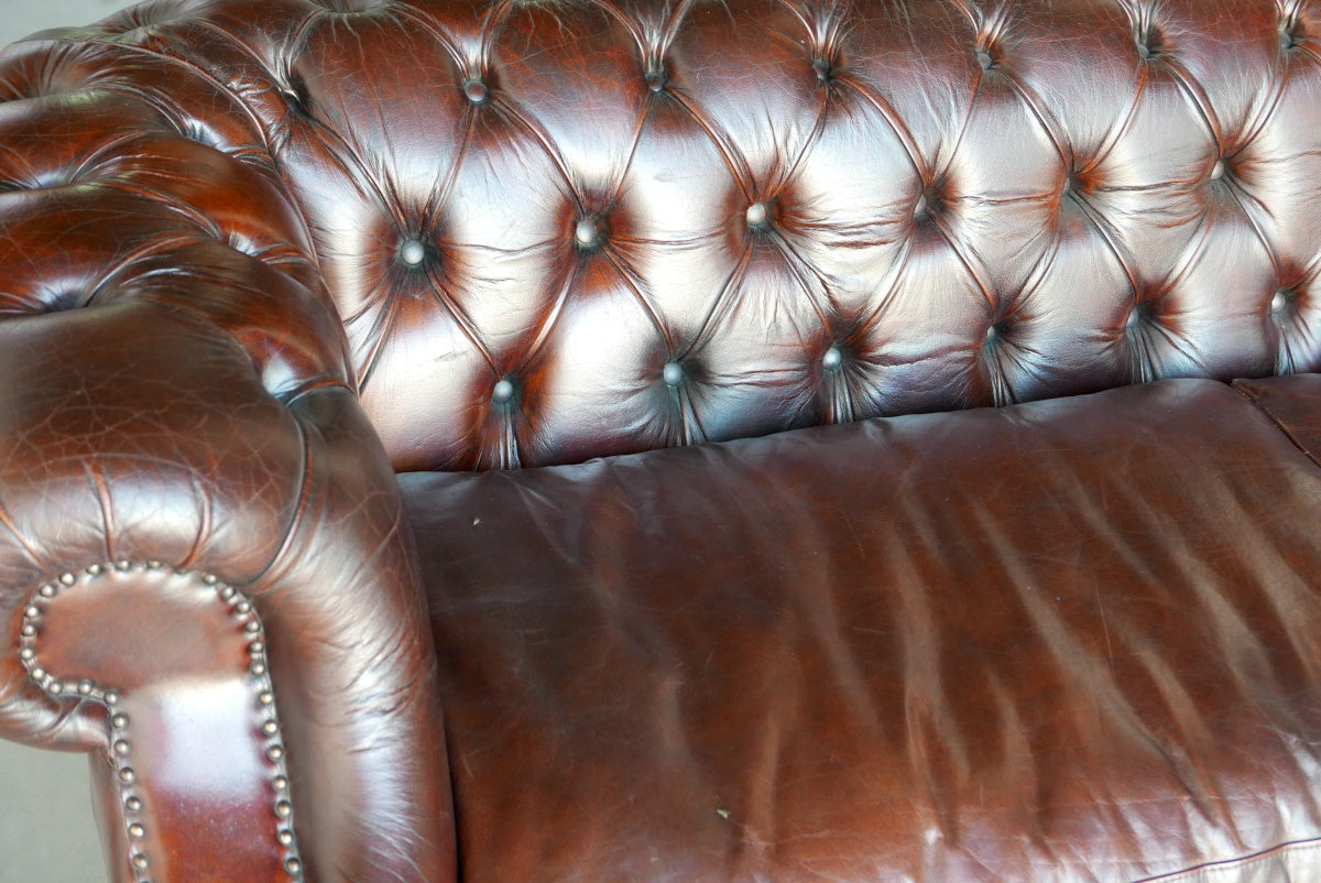 Luxuriöses Chesterfield Büffelleder Sofa, 2-Sitzer | Modell Long 